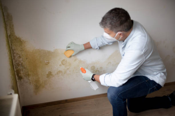 Best Dehumidification Services  in Lordsburg, NM