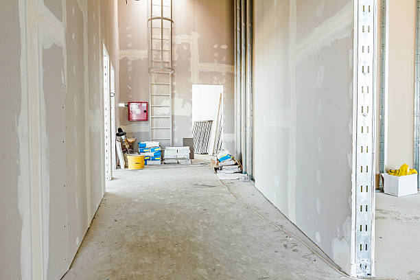 Environmental Consulting for Mold Prevention in Lordsburg, NM