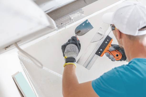 Forensic Mold Investigation in Lordsburg, NM